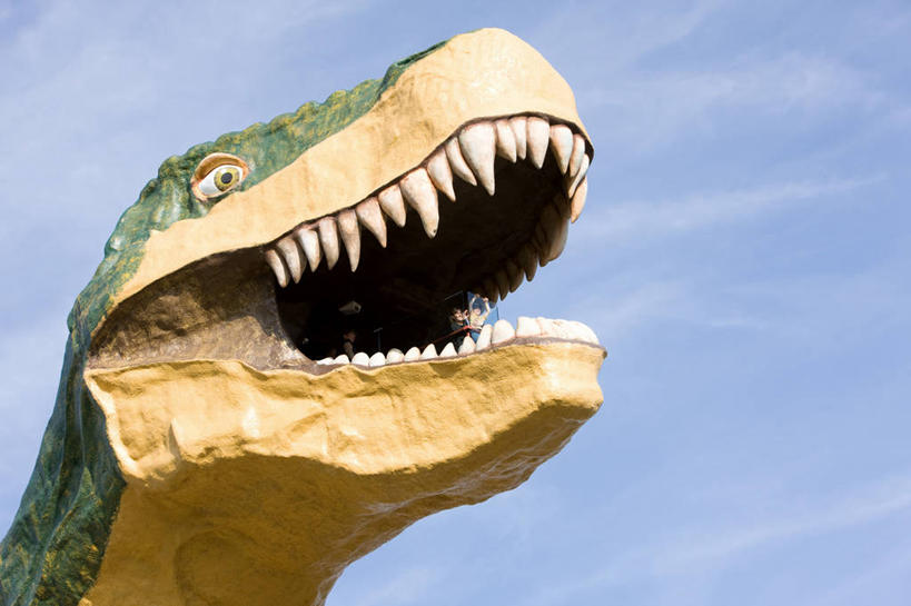 牙齿,无人,站,横图,室外,特写,白天,仰视,雕塑,加拿大,阴影,艺术,装饰,光线,雕刻,雕像,影子,云,云朵,云彩,注视,一只,蓝色,白云,蓝天,天空,阳光,工艺品,天,观察,看,站着,张嘴,恐龙,晴朗,观看,纪念,美术,察看,北美,北美洲,关注,主题,美洲,凶猛,陈列,张大嘴巴,霸王龙,阿尔伯塔省,阿尔伯塔,功能,美学,北亚美利加洲,亚美利加洲,灭尽,灭绝,暴龙,雷克斯暴龙,雷克斯龙,史前动物,艾伯塔,艾伯塔省,亚伯达,凶残,齿,牙,牙龈,晴空,张开嘴,站立,半身,彩图,低角度拍摄,阿省,艾省,亚伯达省,亚省