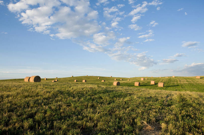 无人,农田,横图,室外,白天,正面,旅游,度假,庄稼,农作物,美景,加拿大,阴影,光线,影子,地平线,景观,云,云朵,辽阔,干草,地面,云彩,娱乐,蓝色,白云,蓝天,天空,阳光,自然,草垛,天,享受,休闲,广阔,景色,放松,晴朗,一望无际,北美,北美洲,自然风光,延伸,美洲,阿尔伯塔省,阿尔伯塔,天地相交,北亚美利加洲,亚美利加洲,艾伯塔,艾伯塔省,无边无际,一马平川,亚伯达,干草垛,晴空,彩图,耕地,庄稼田,阿省,艾省,亚伯达省,亚省