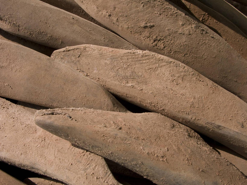 海鲜,无人,横图,俯视,室内,特写,白天,一堆,许多,阴影,堆叠,堆积,丰富,反射,鱼,影子,褐色,鲣鱼,很多,水产,鱼类,海洋生物,成熟,堆,水生动物,海产品,水生物,海底动物,小金枪鱼,炸弹鱼,谦让,随和,半身,彩图,高角度拍摄