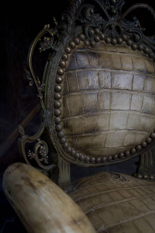 无人,竖图,室内,特写,白天,正面,静物,椅子,阴影,黑色背景,反射,影子,皮,皮革,摄影,影棚,皮肤,鳄鱼皮,皮毛,彩图,影棚拍摄,拍摄,鳄鱼皮革