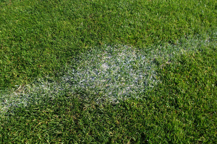 无人,足球场,横图,俯视,室外,特写,白天,草地,草坪,植物,阴影,光线,影子,草,绿色,白色,阳光,界限,绿茵场,彩图,高角度拍摄,足球比赛场地