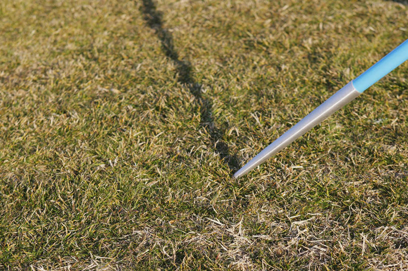 无人,体育馆,运动场,横图,俯视,室外,特写,白天,草地,草坪,植物,阴影,朦胧,模糊,光线,影子,体育场,草,绿色,阳光,运动馆,杆子,彩图,高角度拍摄