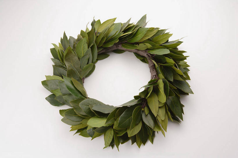 无人,横图,俯视,室内,特写,白天,白色背景,胜利,叶子,阴影,反射,影子,绿叶,枝条,树枝,一个,嫩叶,摄影,影棚,单个,象征,草本,桂冠,月桂叶,香叶,杰出,天竺桂,香桂叶,桂叶,虬枝,枝杈,月桂,叶,叶片,彩图,高角度拍摄,影棚拍摄,拍摄