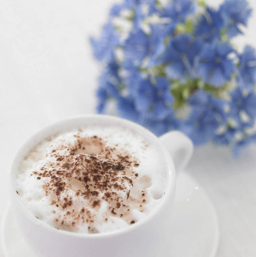 咖啡,无人,竖图,俯视,室内,特写,白天,白色背景,幸福,杯子,阴影,朦胧,模糊,盛开,反射,瓷器,影子,卡布奇诺,咖啡杯,陶瓷制品,一杯,花蕾,娱乐,花,花瓣,花朵,鲜花,饮料,一个,紫色,白色,花苞,花蕊,享受,休闲,温馨,放松,乐趣,摄影,影棚,单个,提神,舒适,瓷杯,醒脑,软饮料,卡布奇诺咖啡,卡布基诺,彩图,高角度拍摄,影棚拍摄,拍摄,卡布基诺咖啡