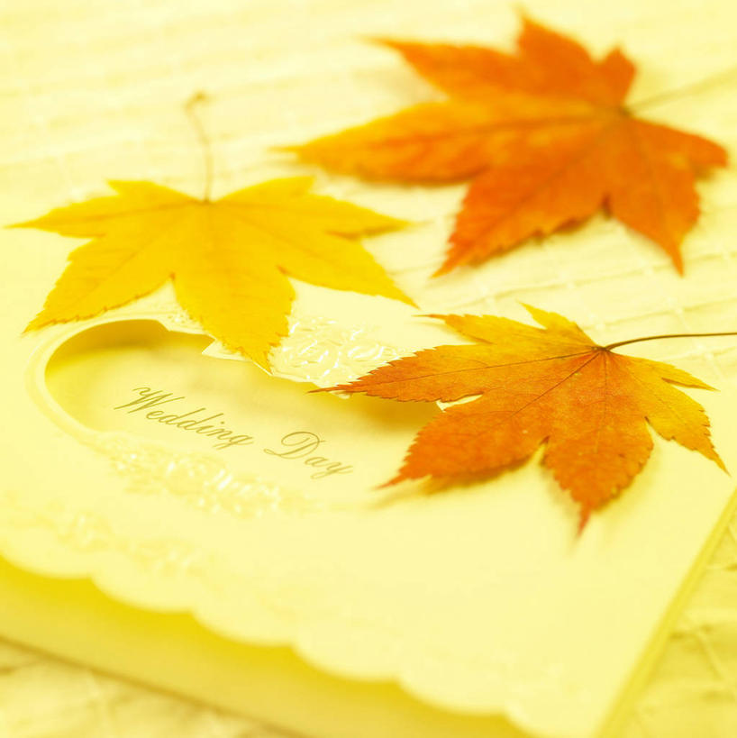 无人,竖图,俯视,室内,特写,白天,婚礼,快乐,叶子,阴影,朦胧,模糊,庆祝,反射,影子,枫叶,枯叶,落叶,结婚,黄色,红色,喜庆,纪念,枫树叶,请帖,书信,叶,叶片,彩图,高角度拍摄,高兴,简帖,请柬