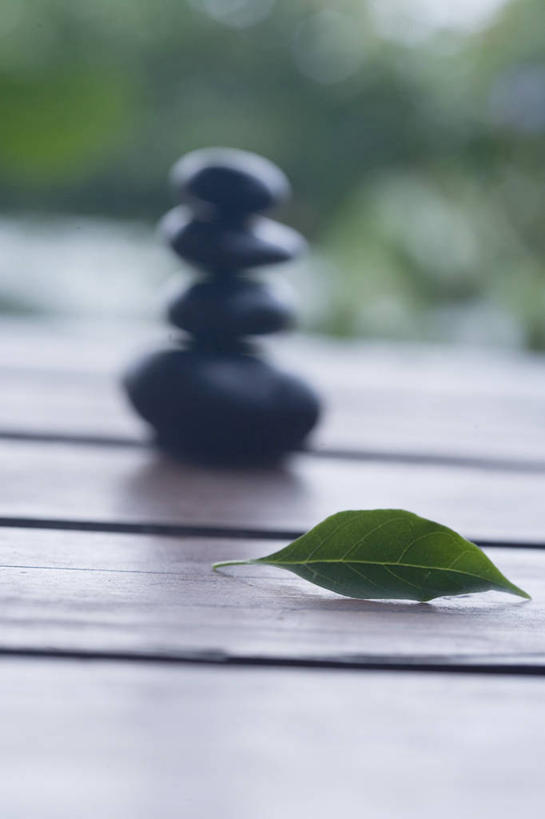 无人,竖图,室外,特写,白天,正面,按摩,美容,石头,植物,叶子,一排,护肤,阴影,朦胧,模糊,整齐,光线,石子,纹理,影子,绿叶,树,树木,排列,绿色,黑色,阳光,自然,保养,享受,休闲,嫩叶,鹅卵石,放松,保健,生长,成长,堆,队列,按摩石,养颜,肌理,热石疗法,叶,叶片,叶脉,石块,彩图