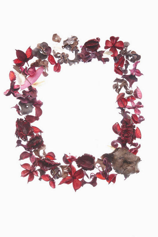 无人,竖图,插画,室内,白天,白色背景,正面,数码,科技,秋季,叶子,阴影,网络,枯叶,落叶,高光,几何,计算机图形,合成,图画,画,电脑合成图,数码合成图,合成图,漫画,写实,具体,具象,叶,叶片,秋,秋天,彩图