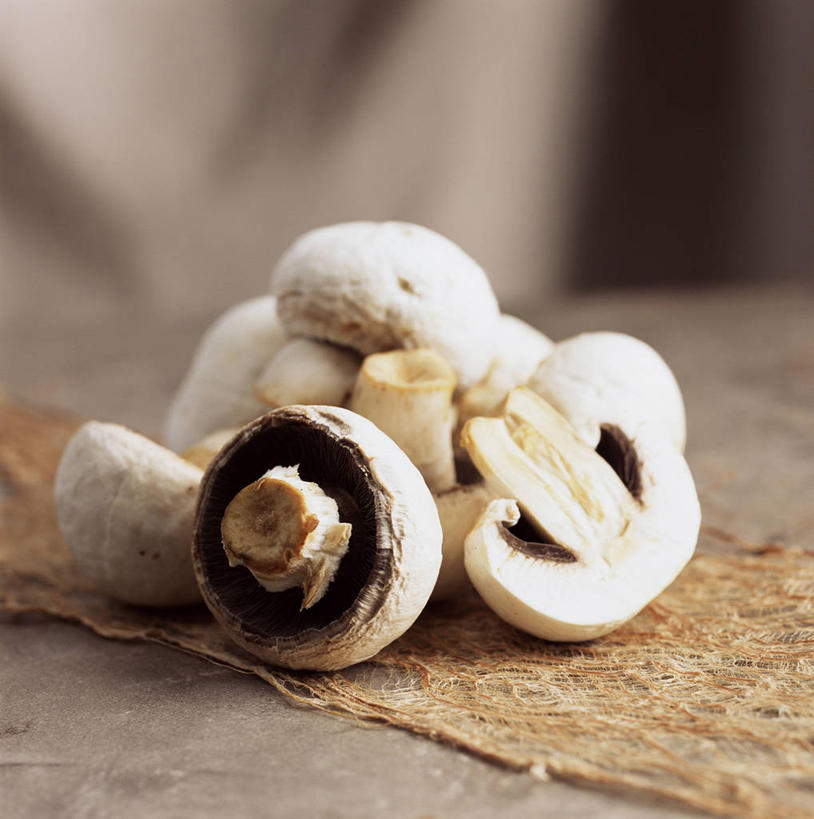 无人,竖图,室内,特写,白天,正面,餐桌,桌子,蔬菜,一堆,许多,阴影,堆叠,堆积,朦胧,模糊,新鲜,反射,影子,菌菇,蘑菇,食品,很多,菌类,食物,白色,食用菌,有机食品,绿色食品,餐台,堆,真菌,白蘑菇,洋蘑菇,草腐菌,二孢蘑菇,双孢蘑菇,彩图