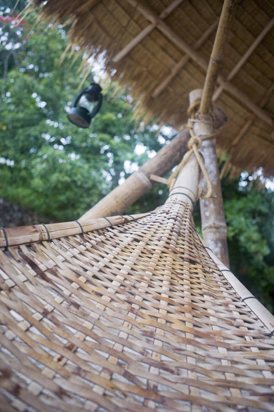 无人,竖图,室外,白天,仰视,植物,床,吊床,照明,吊挂,悬挂,朦胧,模糊,灯光,挂,吊灯,灯,树,树木,一个,绿色,自然,灯具,享受,生长,单个,成长,照亮,照明设备,安逸,安适,清闲,彩图,低角度拍摄