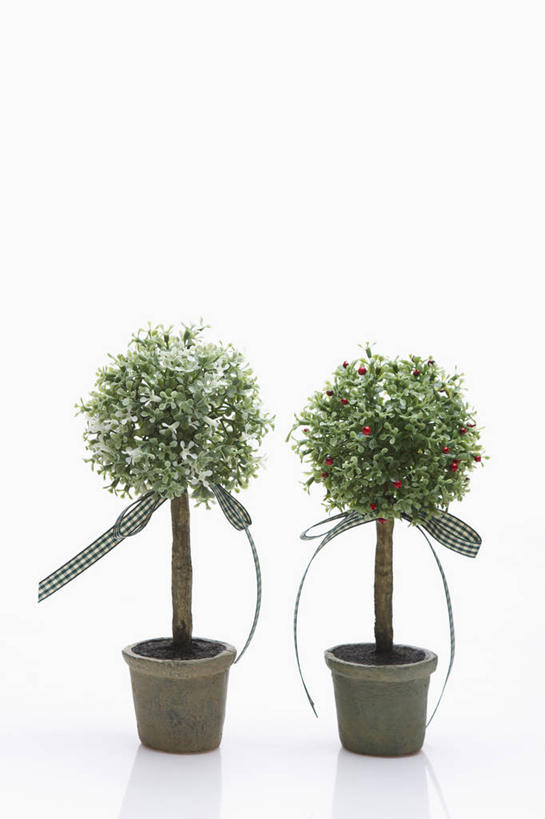 无人,竖图,室内,特写,白天,白色背景,正面,植物,阴影,反射,盆栽,丝绸,丝带,影子,缎带,盆景,两盆,绸带,树,树木,绿色,自然,蝴蝶结,摄影,影棚,生长,成长,盆景树,盆栽树,彩图,影棚拍摄,拍摄