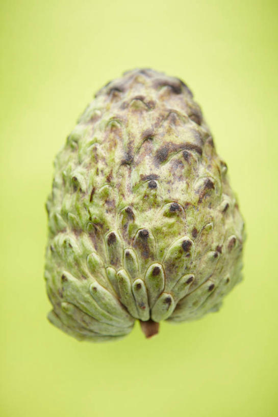 无人,竖图,室内,特写,白天,正面,水果,绿色背景,新鲜,生食,食品,果实,食物,一个,番荔枝,摄影,有机食品,绿色食品,影棚,单个,释迦,佛头果,凤梨释迦,蜜释迦,释迦凤梨,彩图,影棚拍摄,拍摄