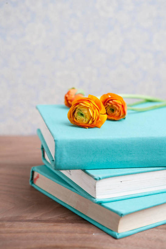 无人,竖图,俯视,室内,特写,白天,桌子,书籍,三朵,阴影,盛开,反射,影子,花蕾,书桌,花,花瓣,花朵,鲜花,蓝色,课桌,书本,花苞,花蕊,书,图书,彩图,高角度拍摄