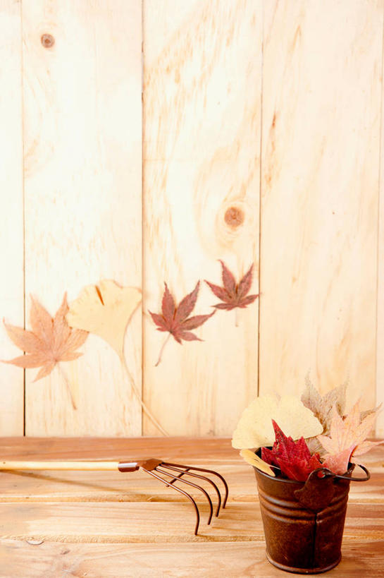 无人,竖图,室内,特写,白天,正面,秋季,地板,叶子,一堆,许多,阴影,堆叠,堆积,反射,木制,叉子,木桶,桶,影子,墙,枯叶,落叶,地面,很多,木地板,墙壁,墙面,一个,黄色,红色,木制品,容器,单个,储藏,堆,储存,农具,耕具,叶,叶片,秋,秋天,彩图,干草叉,贮存