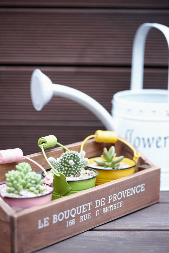 无人,竖图,室内,特写,白天,正面,植物,桌面,桌子,仙人球,仙人掌,一排,朦胧,模糊,整齐,木制,英文,标志,壶,火焰,盆栽,文字,字符,字母,木桌,草药,盆景,洒水壶,标识,中药,水壶,排列,一个,绿色,自然,木制品,生长,单个,成长,英文字母,队列,药材,中草药,中药材,本草,牛舌头,浇水壶,草球,玉芙蓉,仙巴掌,火掌,长盛球,霸王树,彩图,木桌子