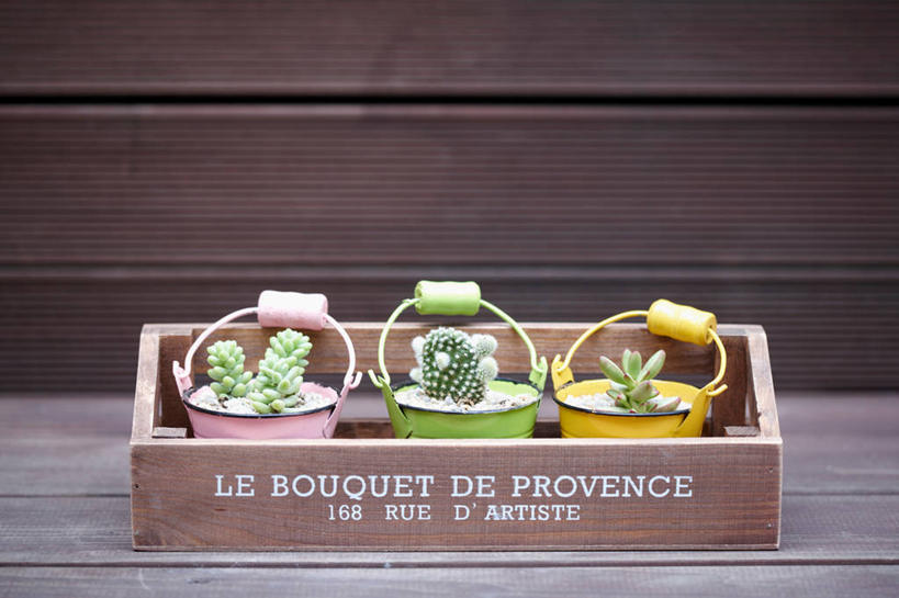 无人,横图,俯视,室内,特写,白天,植物,桌面,桌子,仙人掌,阴影,反射,木制,英文,标志,火焰,木盒,木桶,桶,文字,影子,字符,字母,木桌,草药,标识,中药,木制品,容器,摄影,影棚,储藏,英文字母,储存,药材,中草药,中药材,本草,牛舌头,玉芙蓉,仙巴掌,火掌,霸王树,彩图,高角度拍摄,影棚拍摄,拍摄,木桌子,贮存