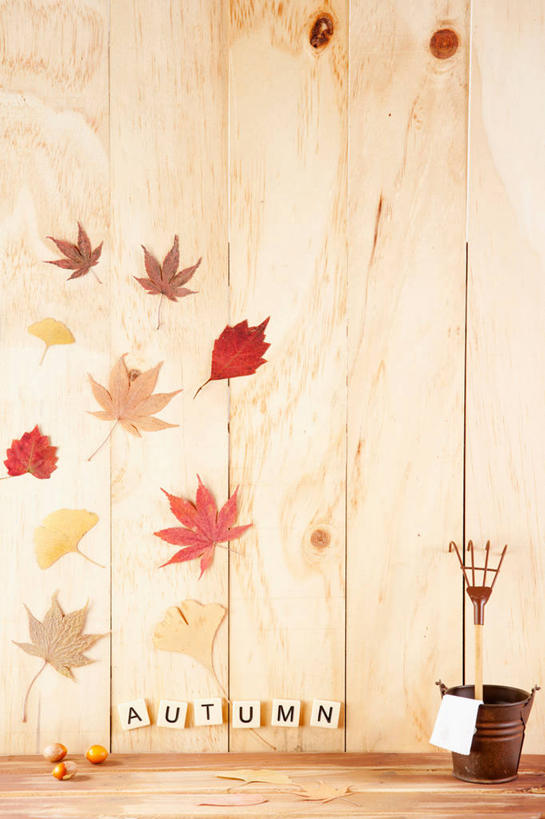 无人,竖图,室内,特写,白天,正面,植物,静物,叶子,纺织品,金属制品,一排,整齐,金属,木制,英文,标志,布,工具,铁桶,桶,图形,文字,正方形,字符,字母,墙,枫叶,枯叶,落叶,草药,药草,织物,几何,标识,抹布,中药,墙壁,墙面,树叶,排列,黄色,红色,木制品,容器,银杏叶,摄影,影棚,枫树叶,储藏,英文字母,耙子,储存,队列,数学,药材,中草药,农具,中药材,本草,白果叶,耕具,叶,叶片,彩图,影棚拍摄,拍摄,几何图形,平面图形,正四边形,贮存