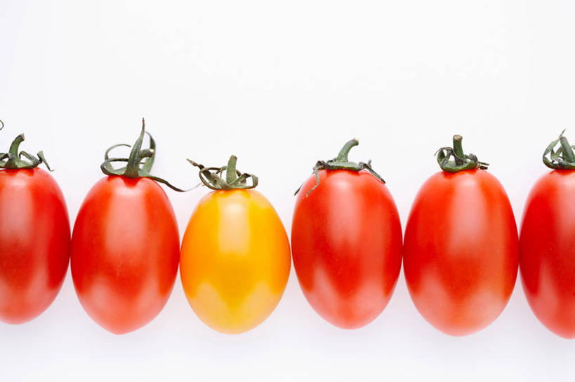 无人,横图,室内,特写,白天,白色背景,正面,餐桌,桌子,蔬菜,西红柿,小番茄,一排,许多,阴影,新鲜,整齐,反射,影子,食品,很多,食物,排列,黄色,红色,摄影,有机食品,绿色食品,影棚,餐台,队列,小西红柿,樱桃小番茄,珍珠小番茄,樱桃番茄,圣女果,番茄,彩图,影棚拍摄,拍摄,黄色小番茄