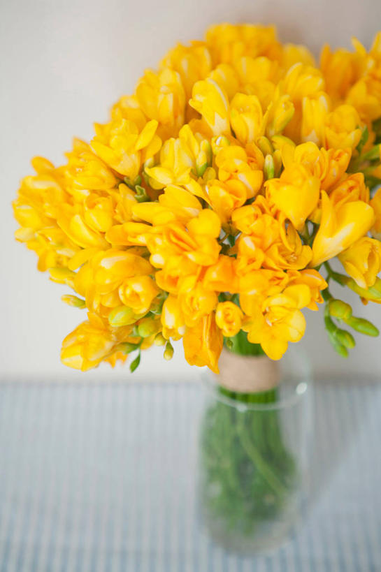 无人,竖图,俯视,室内,特写,白天,纯洁,智慧,花瓶,阴影,艺术,盛开,反射,影子,小苍兰,花蕾,文化,玻璃制品,花,花瓣,花朵,鲜花,一个,黄色,插花,玻璃瓶,瓶子,花苞,花蕊,单个,插花艺术,创造,清香,创作,想象,浓情,麦兰,小菖兰,雪兰,洋晚香玉,彩图,高角度拍摄