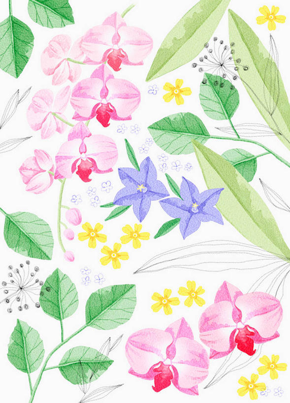 无人,竖图,插画,室内,白天,白色背景,正面,数码,科技,叶子,阴影,盛开,网络,绿叶,高光,几何,计算机图形,合成,花蕾,图画,画,花,花瓣,花朵,鲜花,粉色,紫色,花苞,花蕊,嫩叶,同意,电脑合成图,数码合成图,接受,合成图,漫画,荷包牡丹,写实,具体,具象,铃儿草,兔儿牡丹,鱼儿牡丹,答应,叶,叶片,彩图