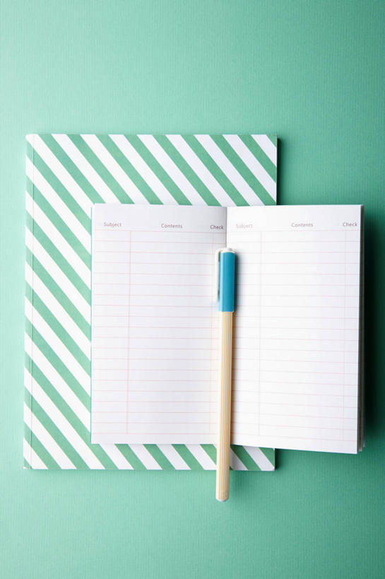 无人,竖图,室内,特写,白天,正面,静物,绿色背景,阴影,反射,笔,影子,办公用品,记事本,圆珠笔,文具,本子,笔记本,学习用品,摄影,影棚,两本,文具用品,一支,彩图,影棚拍摄,拍摄