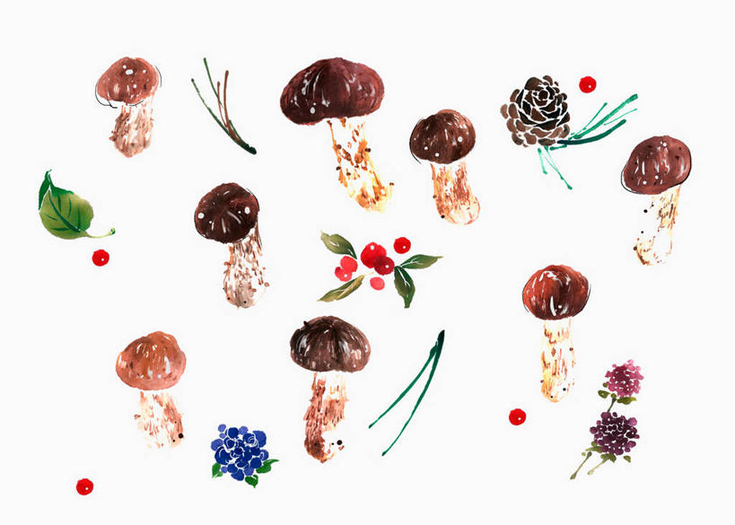 无人,横图,插画,室内,白天,白色背景,正面,数码,科技,浆果,蓝莓,蔬菜,水果,叶子,阴影,新鲜,网络,菌菇,生食,食品,果实,绿叶,高光,几何,计算机图形,合成,菌类,图画,蔬果,画,食物,嫩叶,食用菌,有机食品,绿色食品,电脑合成图,数码合成图,合成图,真菌,漫画,红醋栗,写实,具体,具象,叶,叶片,山都柿,蓝浆果,蓝靛果,醋栗,彩图,都柿,笃斯,红茶藨子,红加仑