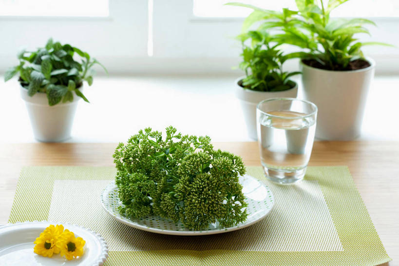 无人,横图,俯视,室内,特写,白天,水,植物,桌面,桌子,杯子,阴影,朦胧,模糊,盛开,反射,木制,盆栽,液体,影子,木桌,盆景,花蕾,饮用水,玻璃制品,花,花瓣,花朵,鲜花,绿色,自然,木制品,水杯,矿泉水,花苞,花蕊,生长,成长,三盆,蒸馏水,玻璃杯,彩图,高角度拍摄,木桌子