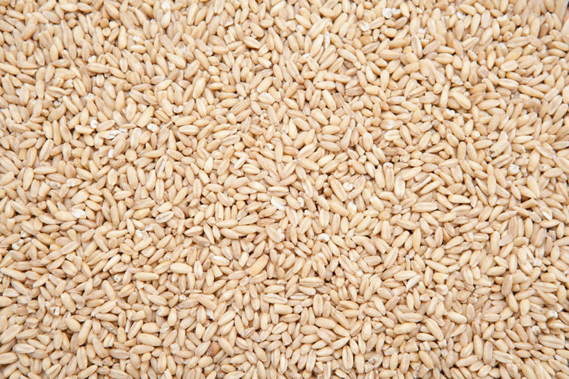 无人,横图,俯视,室内,特写,白天,一堆,许多,堆叠,堆积,谷类,谷物,米,很多,大米,糙米,堆,玄米,彩图,高角度拍摄