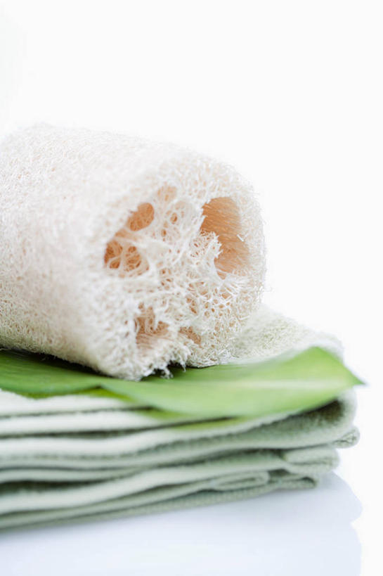 无人,竖图,室内,特写,白天,白色背景,正面,叶子,阴影,朦胧,模糊,反射,纺织物,影子,绿叶,折叠,毛巾,清洁,嫩叶,摄影,影棚,保暖,透气,防水,丝瓜筋,丝瓜络,储水,耐磨,吸水,丝瓜瓤,叶,叶片,彩图,影棚拍摄,拍摄