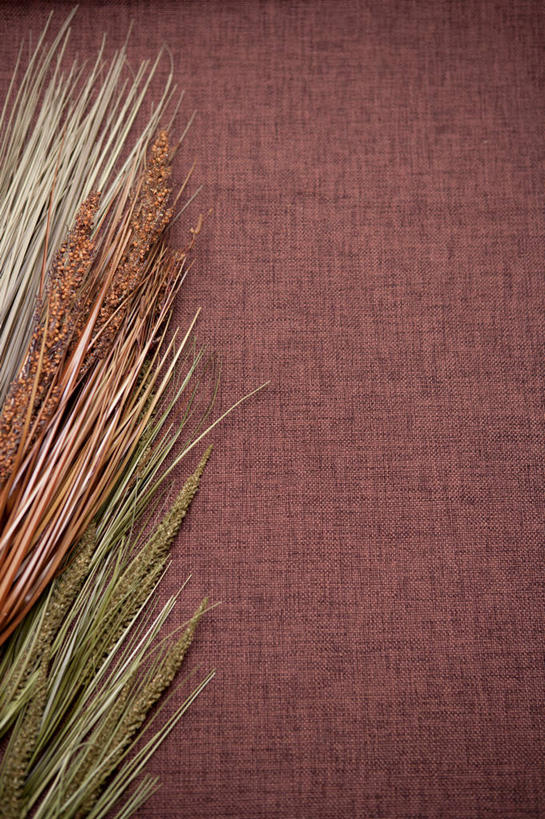 无人,竖图,俯视,室内,特写,白天,农作物,小麦,谷物,摄影,麦子,影棚,褐色背景,彩图,高角度拍摄,影棚拍摄,拍摄