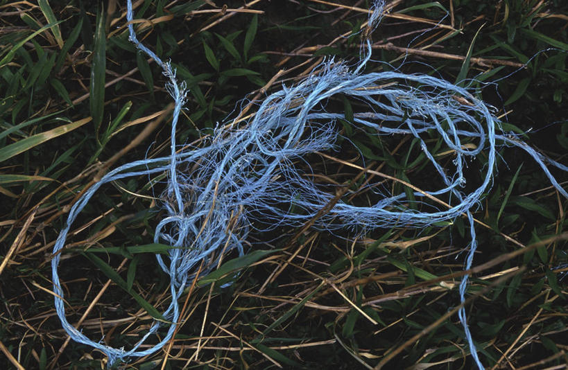 无人,横图,俯视,室外,特写,白天,草地,美景,植物,景观,草,蓝色,绿色,自然,绳子,景色,绳索,自然风光,彩图,高角度拍摄