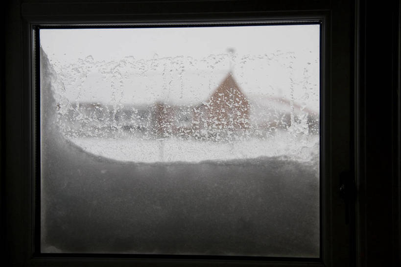 无人,家,横图,室内,特写,白天,正面,雪,植物,暴风雪,大暴雪,大雪,窗户,房屋,屋子,积雪,雪景,冬季,冬天,楼房,玻璃窗,住宅,树,树木,绿色,自然,寒冷,生长,成长,严寒,暴雪,彩图,房子