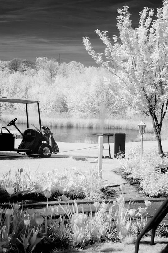 无人,竖图,黑白,室外,白天,正面,草地,草坪,植物,阴影,光线,影子,草,树,树木,绿色,阳光,自然,交通工具,生长,成长,载具,高尔夫车,高尔夫球车,高尔夫观光车,高尔夫用品