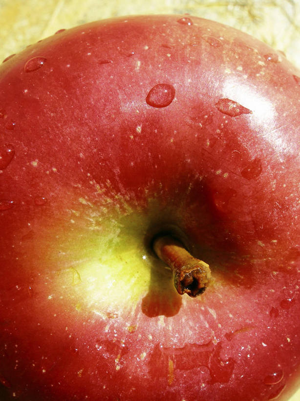 无人,竖图,俯视,室外,特写,白天,水,苹果,水果,朦胧,模糊,新鲜,液体,水滴,生食,食品,果实,食物,一只,红色,红苹果,有机食品,绿色食品,彩图,高角度拍摄