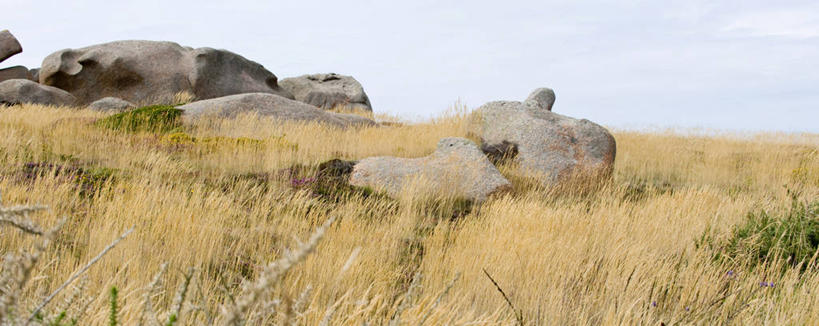 无人,横图,室外,白天,正面,旅游,度假,石头,美景,植物,法国,欧洲,阴影,枯萎,光线,石子,影子,景观,枯草,娱乐,草,黄色,天空,阳光,自然,天,享受,休闲,景色,放松,布列塔尼,西欧,法兰西,自然风光,法兰西共和国,法兰西第五共和国,布列塔尼半岛,石块,岩石,彩图