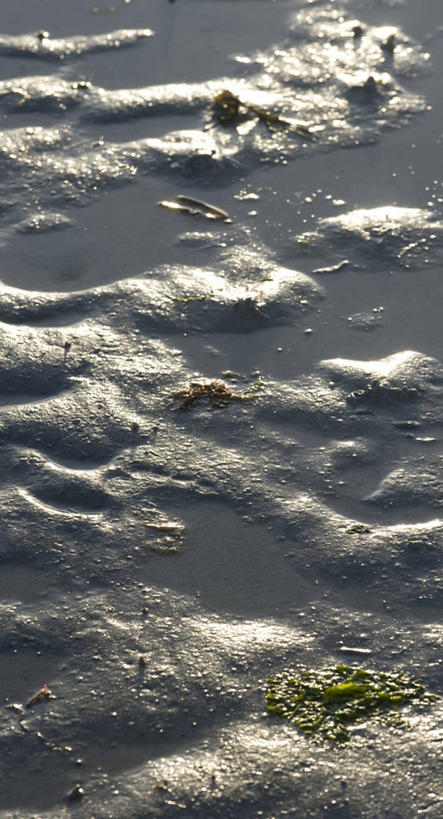 无人,竖图,俯视,室外,白天,旅游,度假,草地,美景,沙滩,植物,法国,欧洲,阴影,光线,沙子,影子,海岸,景观,沙地,娱乐,草,绿色,阳光,自然,享受,休闲,景色,放松,布列塔尼,西欧,法兰西,自然风光,法兰西共和国,法兰西第五共和国,布列塔尼半岛,海滩,彩图,高角度拍摄