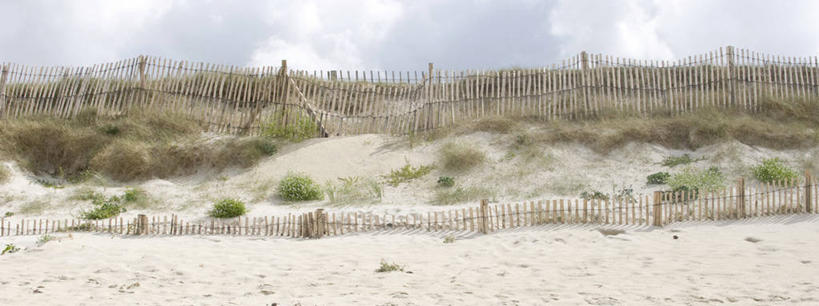 无人,栏杆,横图,室外,白天,正面,旅游,度假,美景,沙滩,植物,法国,欧洲,枯萎,沙子,栅栏,海岸,景观,篱笆,云,云朵,围栏,枯草,沙地,云彩,娱乐,护栏,草,黄色,白云,自然,享受,休闲,景色,放松,布列塔尼,西欧,法兰西,自然风光,法兰西共和国,法兰西第五共和国,菲尼斯泰尔省,布列塔尼地区,非尼斯泰尔省,海滩,彩图