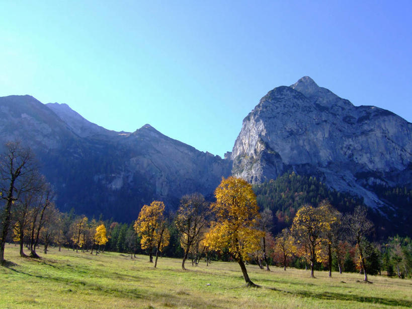 无人,横图,室外,白天,正面,旅游,度假,草地,草坪,石头,美景,秋季,山,山脉,植物,叶子,奥地利,欧洲,阿尔卑斯山,阴影,光线,石子,影子,景观,山峰,枯叶,落叶,山峦,娱乐,草,树,树木,蓝色,绿色,蓝天,天空,阳光,自然,群山,天,享受,休闲,景色,放松,生长,晴朗,成长,自然风光,中欧,阿尔卑斯山脉,万里无云,奥地利共和国,蒂罗尔,蒂罗尔州,叶,叶片,石块,岩石,晴空,晴空万里,秋,秋天,彩图,卡尔文德尔山脉