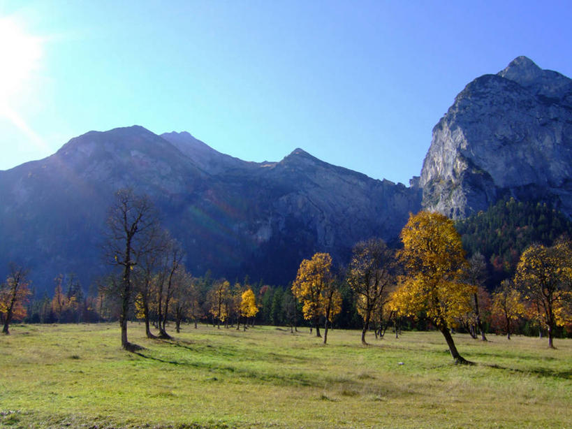 无人,横图,室外,白天,正面,旅游,度假,草地,草坪,石头,美景,秋季,山,山脉,植物,叶子,奥地利,欧洲,阿尔卑斯山,阴影,光线,石子,影子,景观,山峰,枯叶,落叶,山峦,娱乐,草,树,树木,蓝色,绿色,蓝天,天空,阳光,自然,群山,天,享受,休闲,景色,放松,生长,晴朗,成长,自然风光,中欧,阿尔卑斯山脉,万里无云,奥地利共和国,蒂罗尔,蒂罗尔州,叶,叶片,石块,岩石,晴空,晴空万里,秋,秋天,彩图,卡尔文德尔山脉
