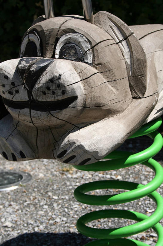 无人,游乐园,竖图,室外,特写,白天,正面,游戏,游乐场,宠物,狗,玩具,阴影,光线,影子,玩,娱乐,运动器械,阳光,动物,休闲,跷跷板,可爱,益智,活动,发泄,消遣,智力,忠诚,宣泄,乐园,主题公园,犬,玩耍,嬉戏,彩图,人造公园,主题乐园