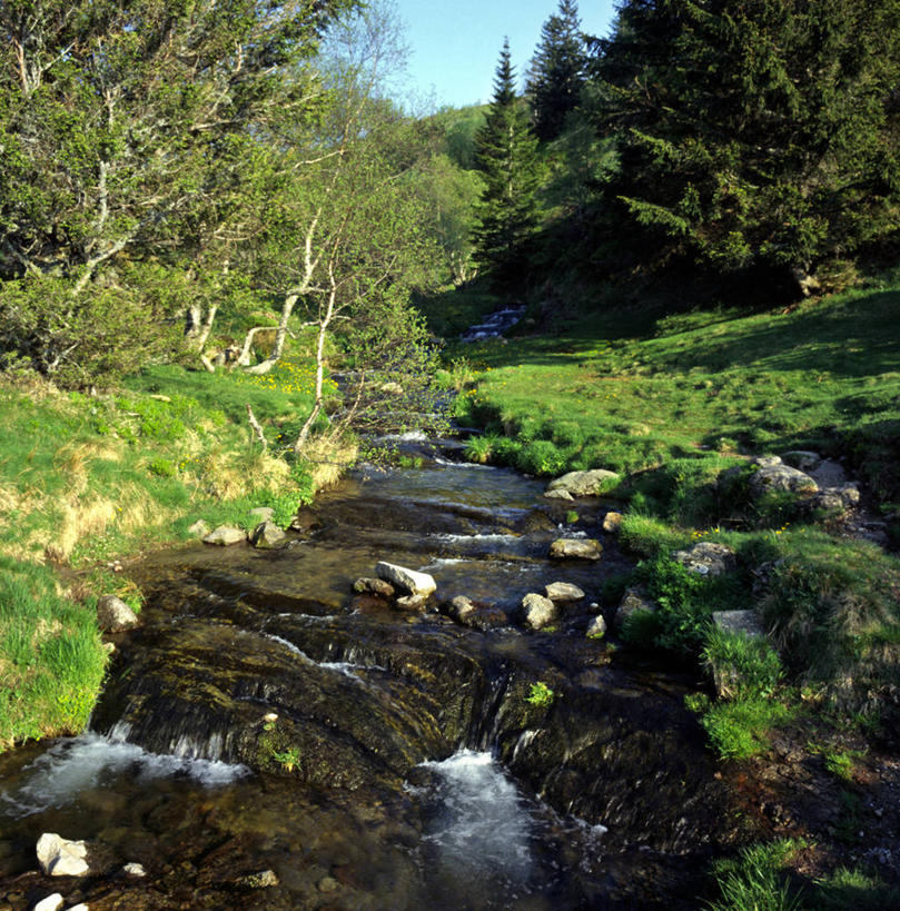 无人,竖图,室外,白天,正面,旅游,度假,草地,草坪,河流,石头,美景,树林,水,植物,法国,欧洲,阴影,光线,石子,影子,河水,景观,水流,娱乐,草,树,树木,蓝色,绿色,蓝天,天空,小溪,阳光,自然,天,溪水,享受,休闲,景色,放松,生长,晴朗,成长,西欧,法兰西,自然风光,万里无云,法兰西共和国,法兰西第五共和国,奥弗涅,奥弗涅大区,石块,岩石,晴空,晴空万里,彩图