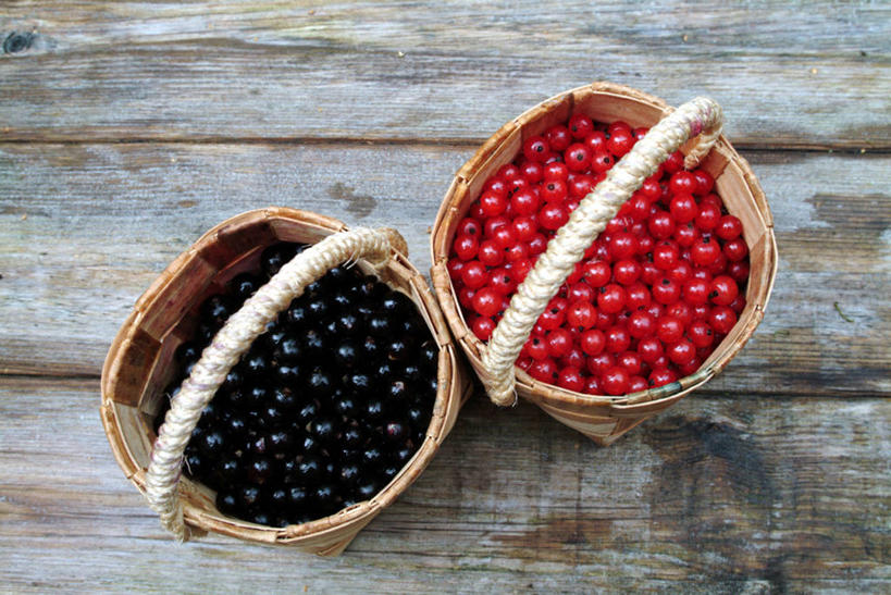 无人,交叉,横图,俯视,室外,特写,白天,桌面,桌子,竹子,浆果,黑加仑,水果,一堆,许多,堆叠,堆积,竹制,新鲜,编织,木制,篮子,木桌,生食,食品,果实,很多,食物,红色,黑色,木制品,竹篮,有机食品,绿色食品,竹条,堆,交织,竹制品,红醋栗,穿插,黑穗醋栗,黑豆果,黑醋栗,醋栗,彩图,高角度拍摄,红茶藨子,红加仑,木桌子