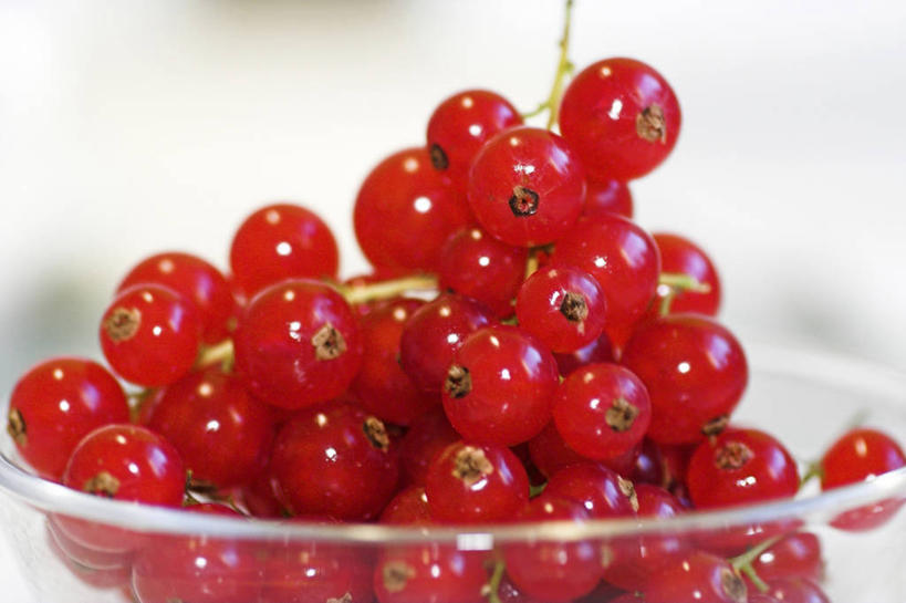 无人,横图,俯视,室内,特写,白天,浆果,水果,玻璃,一堆,许多,阴影,堆叠,堆积,朦胧,模糊,新鲜,反射,影子,生食,食品,果实,很多,玻璃制品,食物,一个,红色,容器,碗,有机食品,绿色食品,单个,储藏,堆,储存,红醋栗,醋栗,彩图,高角度拍摄,红茶藨子,红加仑,贮存