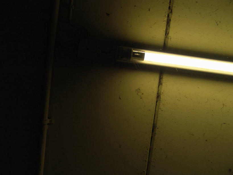 无人,横图,室内,特写,白天,仰视,静物,照明,阴影,光线,隧道,影子,墙,灯光,顶灯,墙壁,墙面,灯,灯具,照亮,照明设备,地道,彩图,低角度拍摄