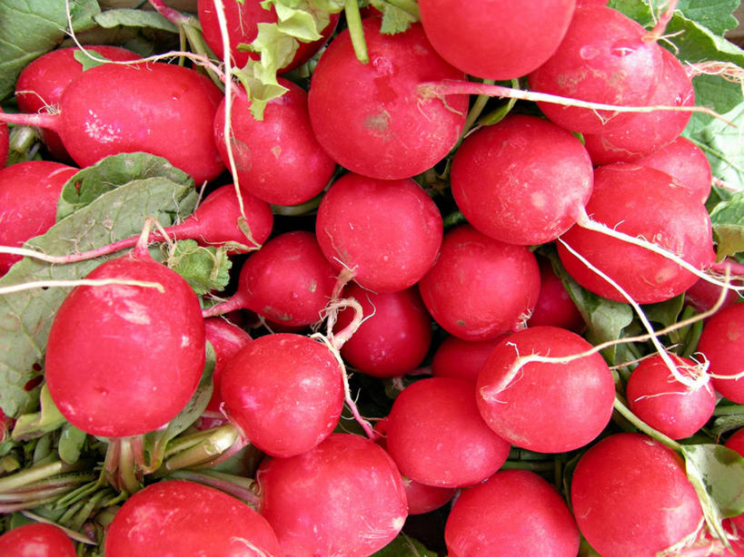 无人,横图,俯视,室内,特写,白天,萝卜,蔬菜,一堆,许多,阴影,堆叠,堆积,新鲜,反射,影子,食品,很多,食物,红色,有机食品,绿色食品,水萝卜,堆,彩图,高角度拍摄