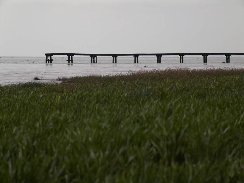 无人,码头,横图,室外,白天,正面,旅游,度假,草地,草原,海浪,海洋,美景,植物,港口,德国,欧洲,荷兰,阴影,光线,影子,景观,旷野,浪花,娱乐,草,蓝色,绿色,蓝天,天空,阳光,自然,海水,天,享受,休闲,景色,放松,晴朗,西欧,自然风光,原野,海景,万里无云,德意志联邦共和国,荷兰王国,尼德兰王国,大海,风浪,海,海水的波动,近岸浪,涌浪,晴空,晴空万里,彩图,摆渡口,埠头,渡口,渡头,港湾,海港,货运码头,口岸,商港,瓦登海