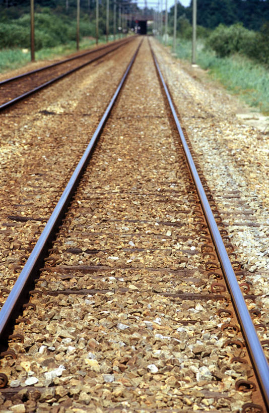 无人,竖图,室外,白天,正面,消失点,草地,草坪,美景,植物,路,铁路,阴影,光线,影子,景观,轨道,交通,铁轨,草,树,树木,绿色,阳光,自然,景色,运输,生长,成长,自然风光,彩图,没影点,灭点