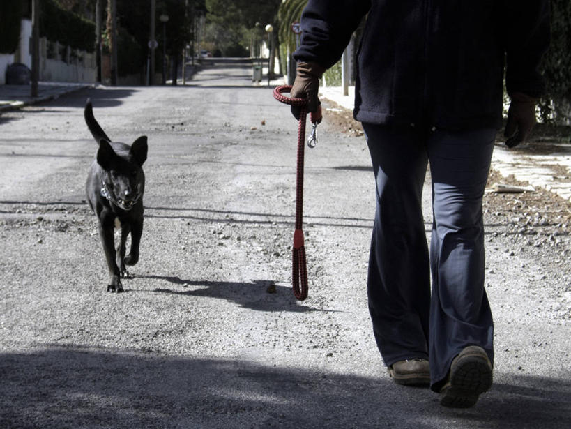 西方人,一个人,走,横图,室外,白天,树林,植物,道路,路,宠物,狗,欧洲,欧洲人,仅一个男性,仅一个人,握,阴影,服装,裤子,光线,影子,小路,交通,拿,狗绳,拿着,牛仔裤,休闲装,树,树木,仅一个年轻男性,一只,背面,衣服,绿色,阳光,自然,动物,绳子,休闲,休闲服,可爱,握着,服饰,生长,成长,绳索,狗链,牵引绳,忠诚,男人,男性,年轻男性,白种人,项圈,犬,步行,散步,走路,半身,彩图,狗链子,狗项圈