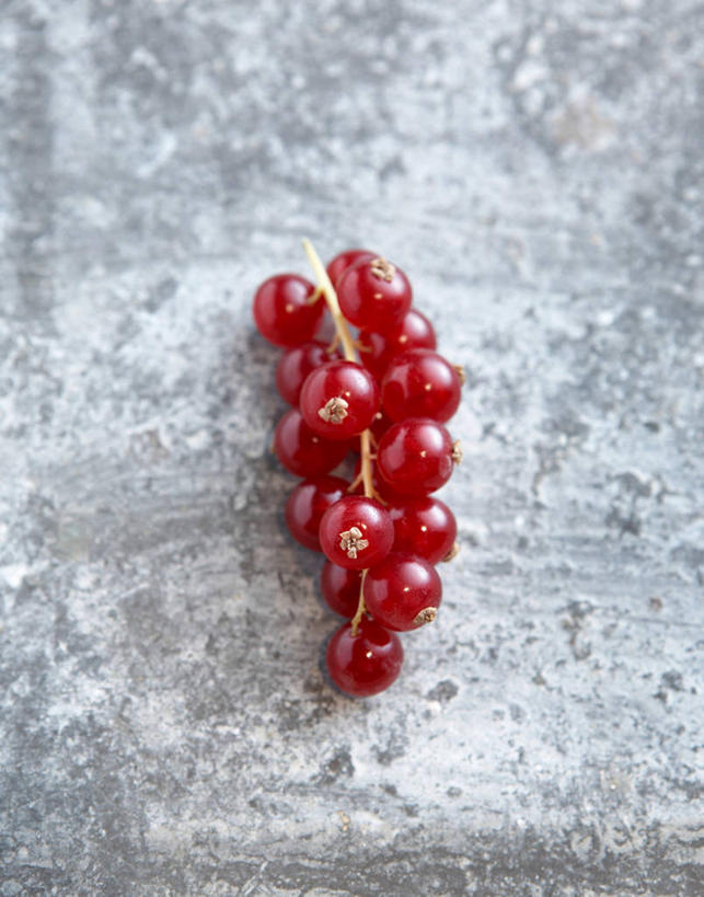 无人,竖图,俯视,室内,特写,白天,桌面,桌子,浆果,水果,一串,许多,新鲜,木制,粉末,木桌,调料,生食,食品,糖,果实,调味品,很多,调味料,食物,木制品,粉,有机食品,绿色食品,红醋栗,糖粉,粉状,粉剂,醋栗,彩图,高角度拍摄,糖类,红茶藨子,红加仑,木桌子