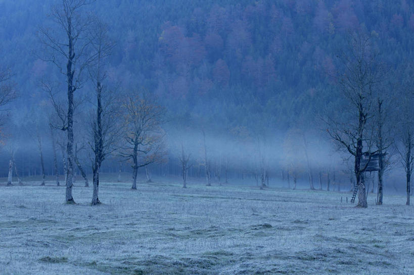 无人,横图,室外,白天,正面,旅游,度假,美景,日落,树林,雪,植物,雾,大雪,奥地利,欧洲,阿尔卑斯山,朦胧,模糊,积雪,景观,晚霞,霞光,雪景,冬季,冬天,落日,娱乐,树,树木,绿色,自然,黄昏,享受,休闲,景色,彩霞,放松,寒冷,生长,成长,迷雾,自然风光,中欧,阿尔卑斯山脉,严寒,奥地利共和国,蒂罗尔,蒂罗尔州,夕照,薄暮,大雾,夕阳,彩图,傍晚,卡尔文德尔山脉,斜阳
