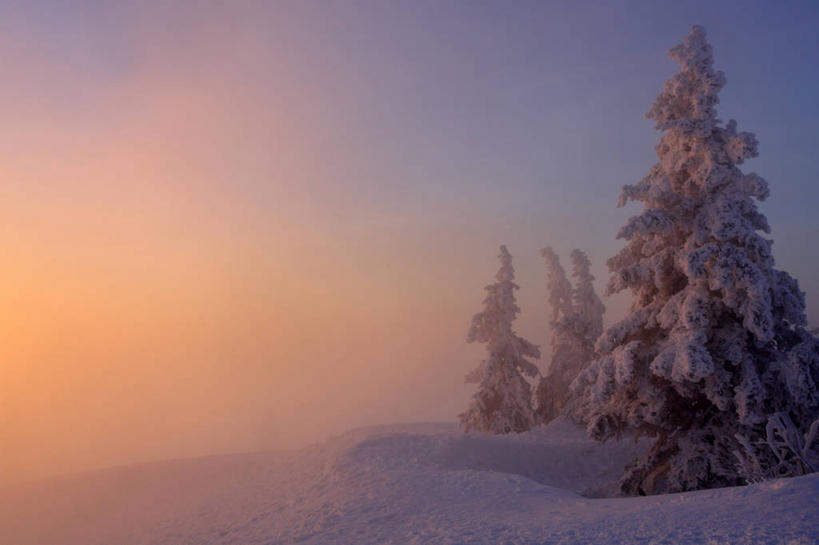 无人,横图,室外,白天,正面,旅游,度假,美景,日落,山,雪,雪山,植物,雾,大雪,德国,欧洲,朦胧,模糊,冰,积雪,景观,山峰,晚霞,霞光,雪景,冬季,冬天,落日,山峦,娱乐,树,树木,绿色,自然,黄昏,享受,休闲,景色,彩霞,放松,寒冷,生长,成长,迷雾,冰冷,西欧,自然风光,德意志联邦共和国,常绿树,严寒,冰凉,酷寒,凛冽,凛凛,极冷,夕照,薄暮,大雾,夕阳,针叶树,彩图,傍晚,软材,斜阳